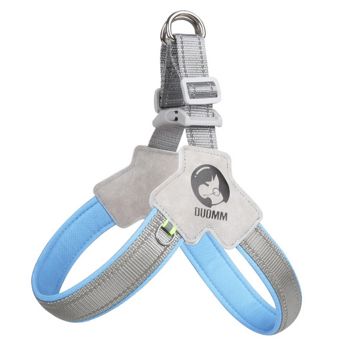StrapSafe