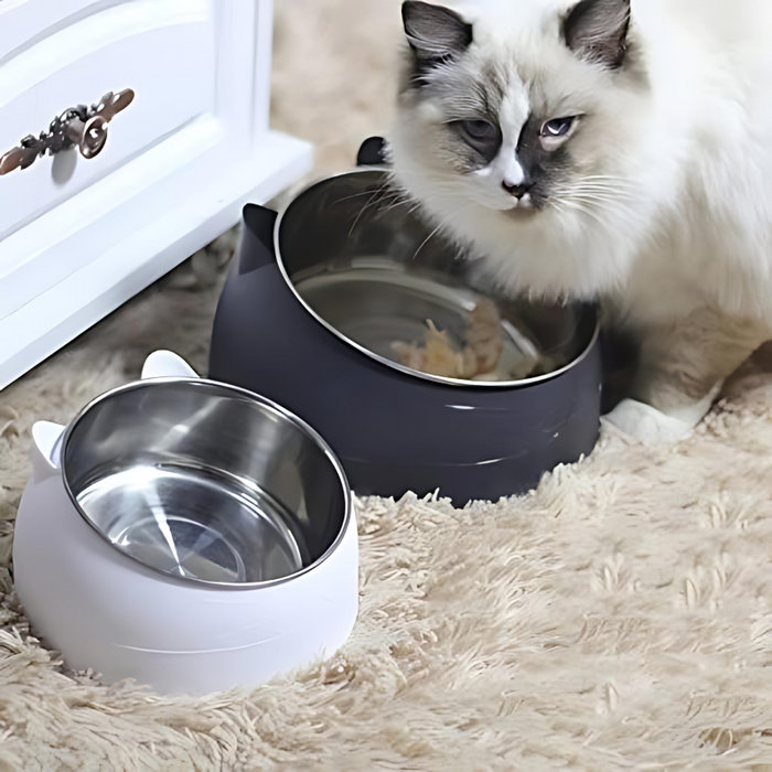PawDish