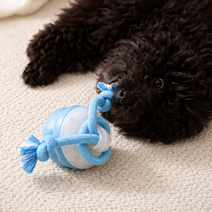 Pet Rope Rollo Pet RopeRoll — Happy-Molly