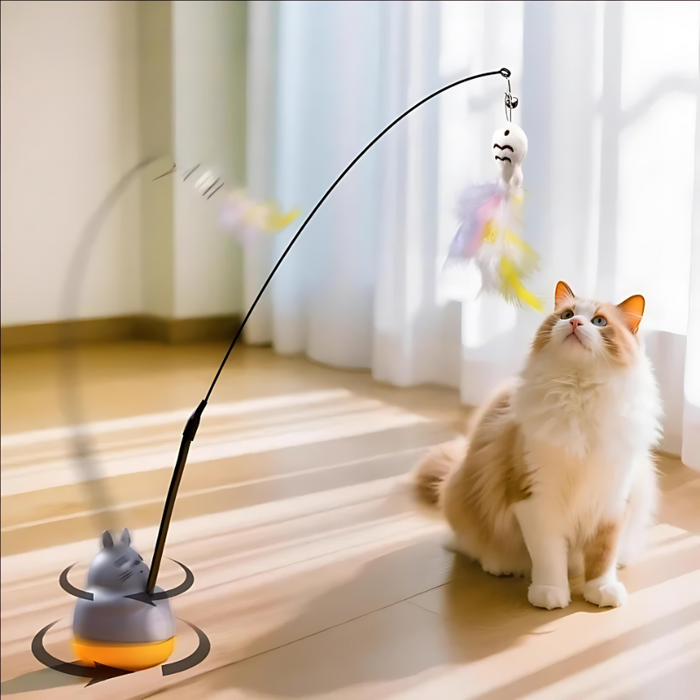 PawSpin