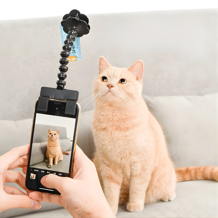 PawFocus