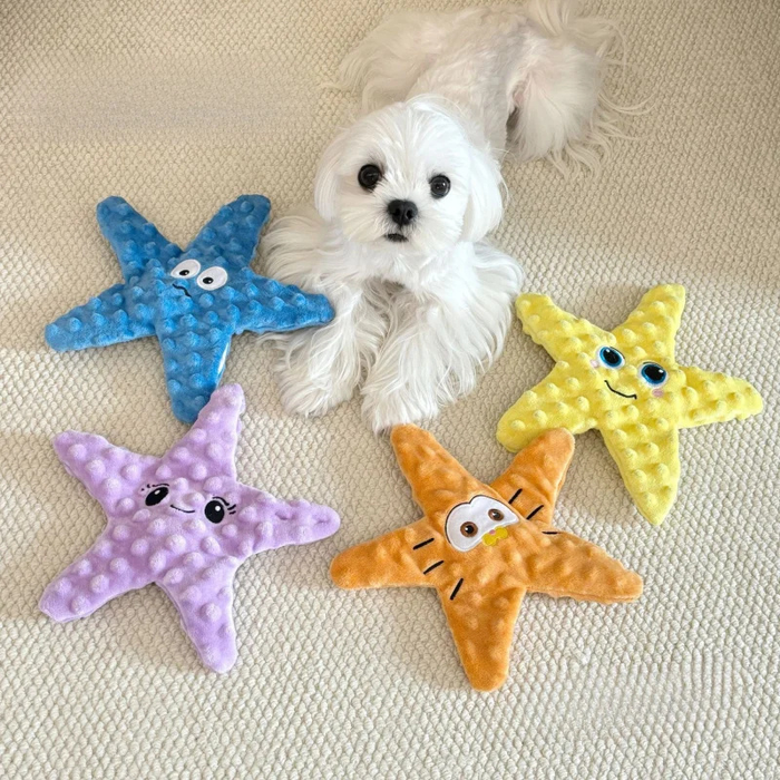 SnackStar