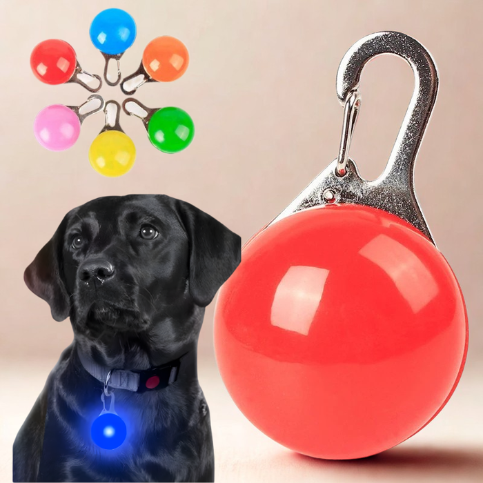 PawGlow