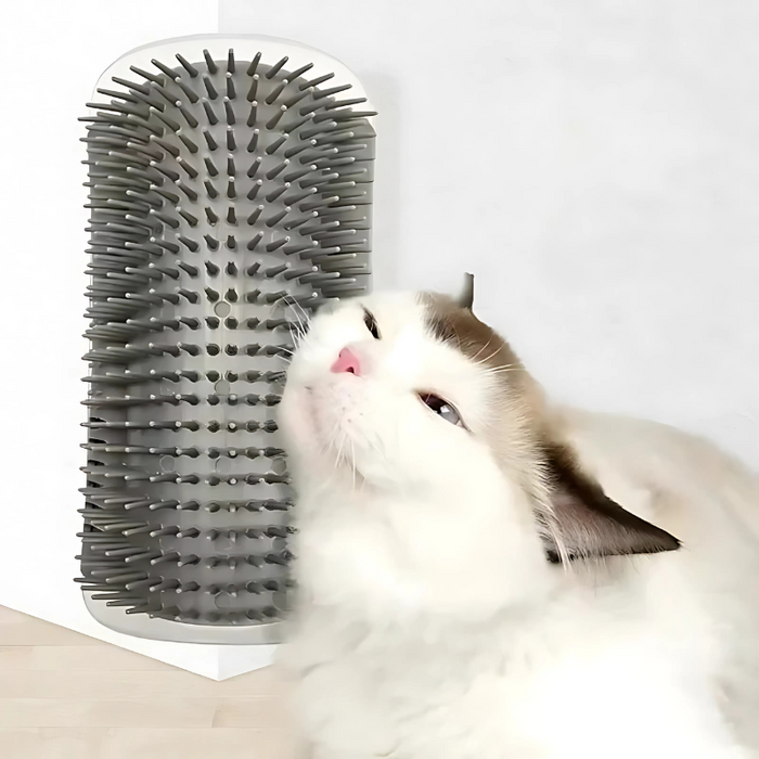 MeowMassage