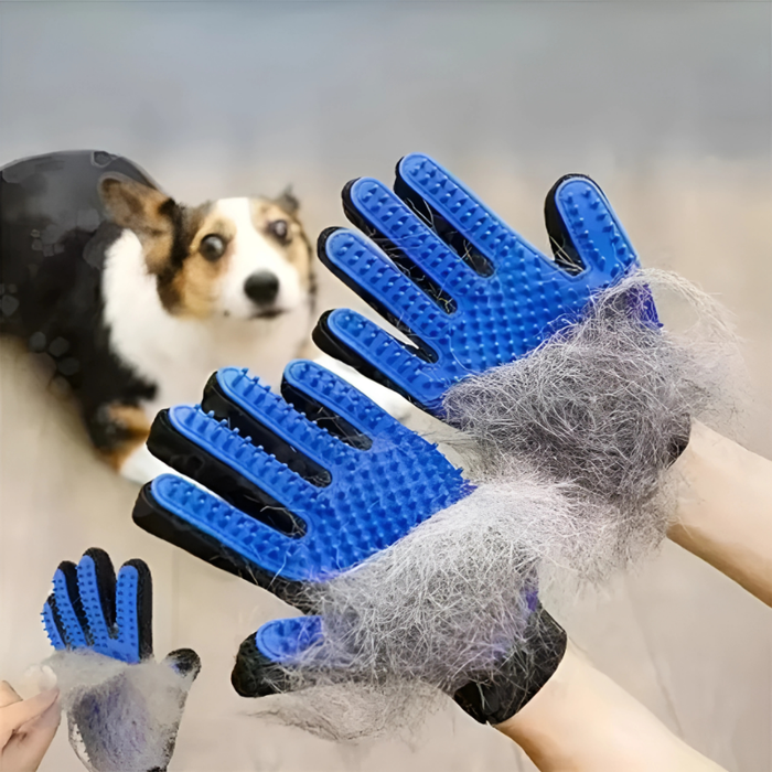 PawGlide