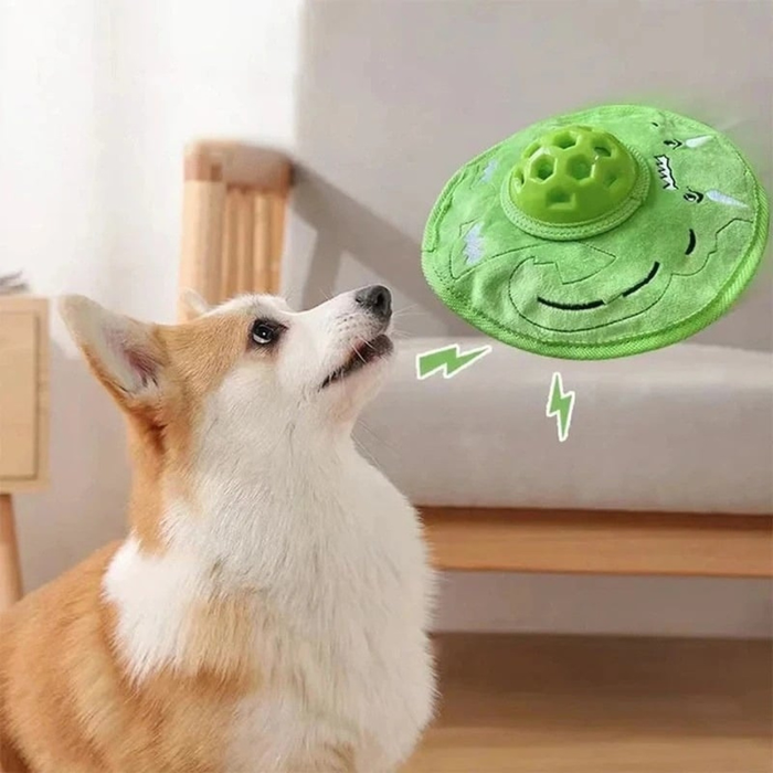 SpinFetch