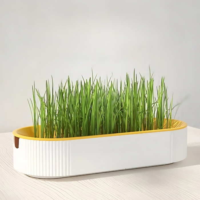 GreenBloom