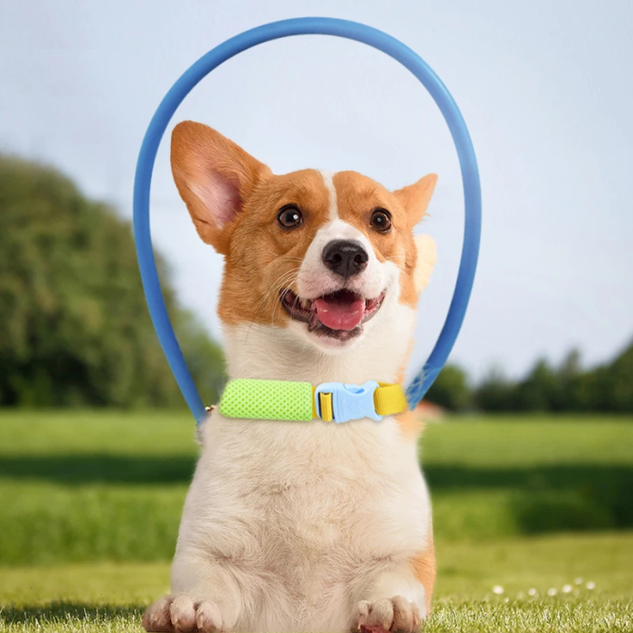 PawPilot