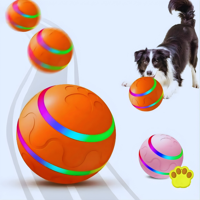 SmartPaw