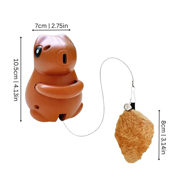 Squiroll
