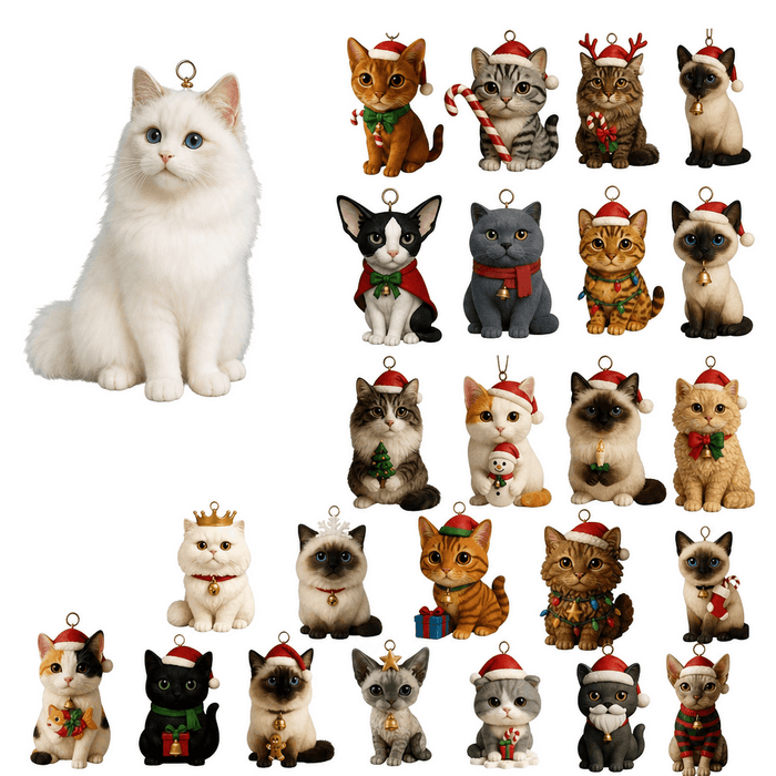 PawAdvent
