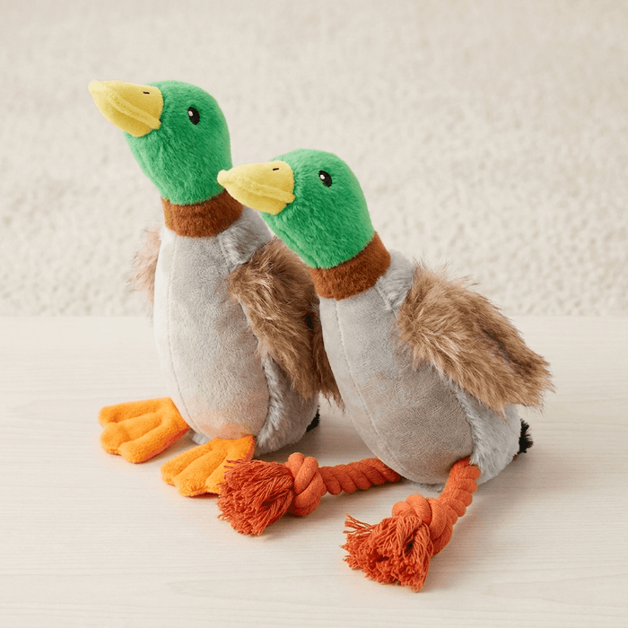 QuackTug