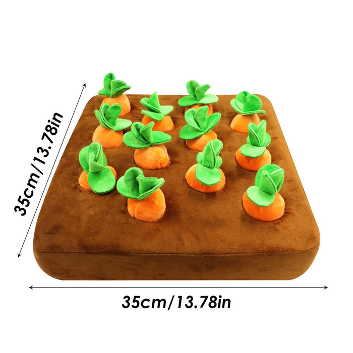 Sniff & Search Enrichment Set 3