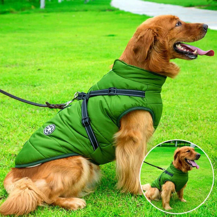 Waterproof Winter Jacket With Built In Harness Happy Molly